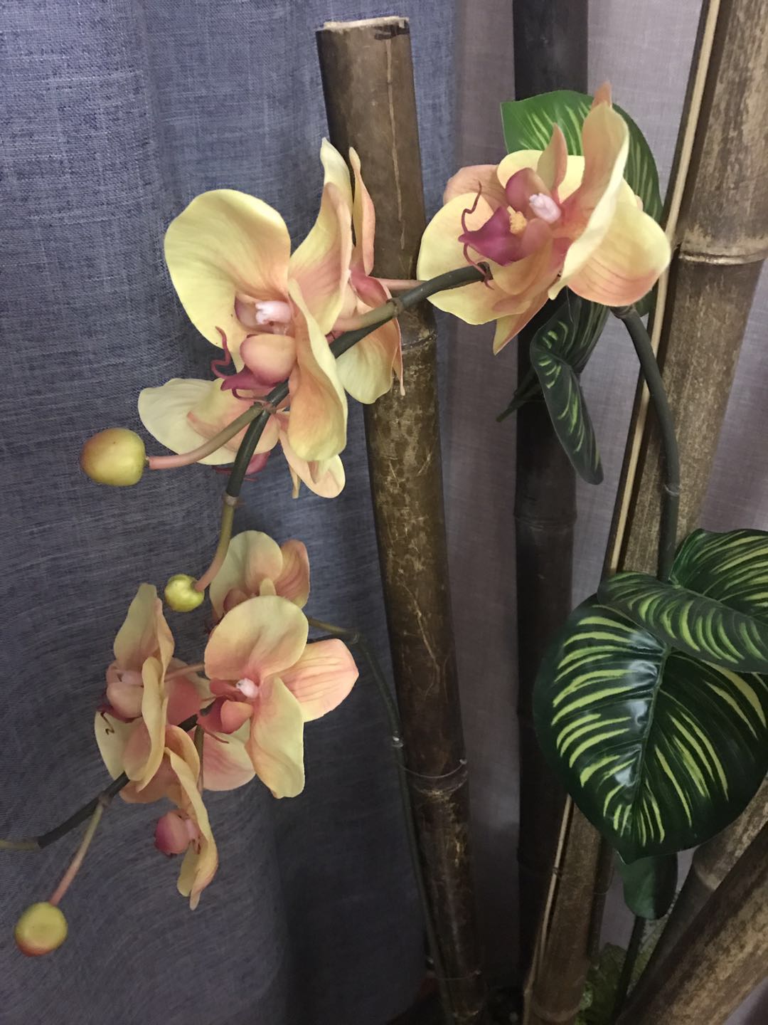 花都日式会所：男士助浴，花样独领风骚